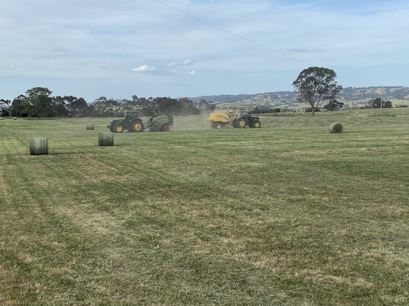 150 x Oaten and Rye Hay 5x4 Rolls