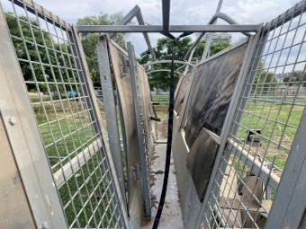 Double Perkinz Crutching Stands