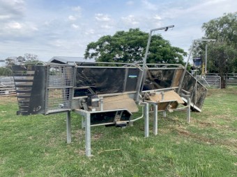 Double Perkinz Crutching Stands