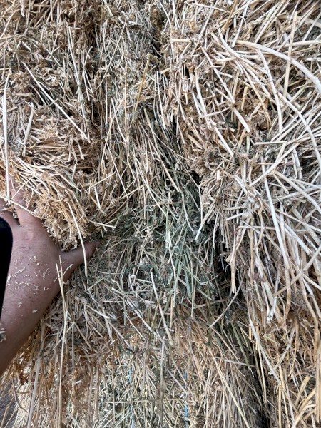170mt Lucerne 8x4x3 Bales