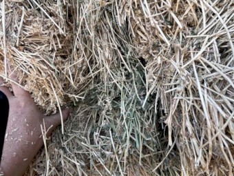170mt Lucerne 8x4x3 Bales