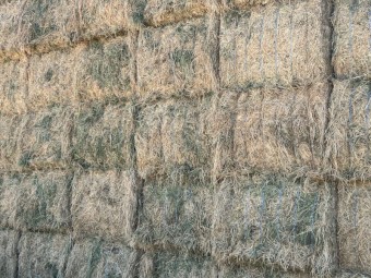 170mt Lucerne 8x4x3 Bales