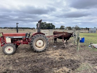 International Harvester 384 Tractor