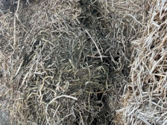 Vetch Hay 600kg Vetch Hay
