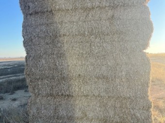 Vetch Hay 600kg Vetch Hay