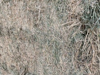 200mt Lucerne 620kg 8x4x3 Bales