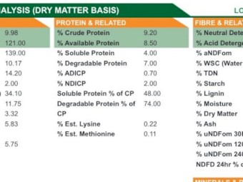 200mt Barley Hay 8x4x3 Bales