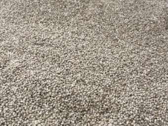 800kg Bulka Bags Shirohie Millet Seed Cleaned and Tested