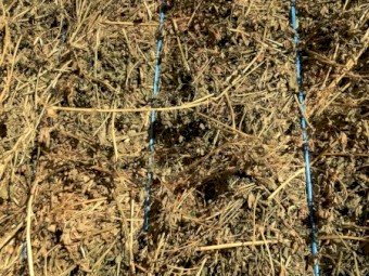 Lucerne Hay 620kg 8x4x3 Bales