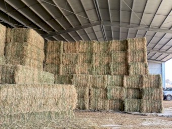 Oaten Hay 5x4 Rolls