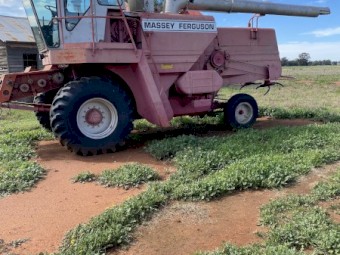 Massey Ferguson 850 Header