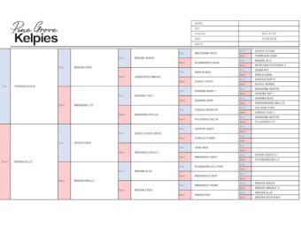 Working Kelpie Pups Available
