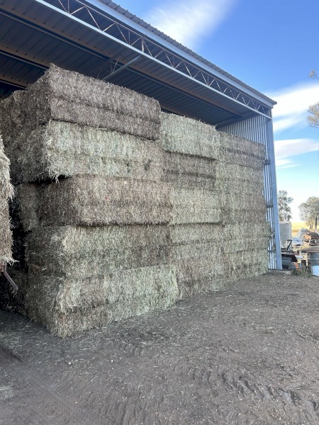 36 Vetch Hay 24/25 season