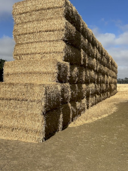 200mt Wheaten Straw 500-550kg 8x4x3 Bales