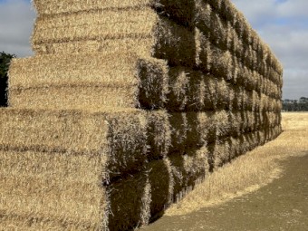 200mt Wheaten Straw 500-550kg 8x4x3 Bales