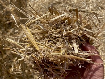 200mt Wheaten Straw 8x4x3 Bales