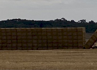 200mt Wheaten Straw 8x4x3 Bales