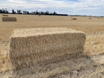200mt Wheaten Straw 8x4x3 Bales