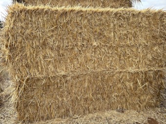 150mt Cereal Rye Hay 8x4x3 Bales