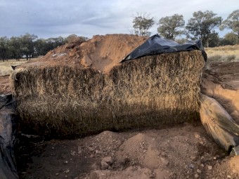 500 x Lucerne / Barley Silage 6x4x3 Bales