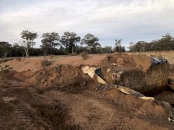 500 x Lucerne / Barley Silage 6x4x3 Bales