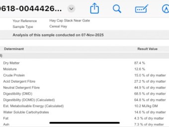 400mt Barley Vetch Hay 8x4x3 Bales