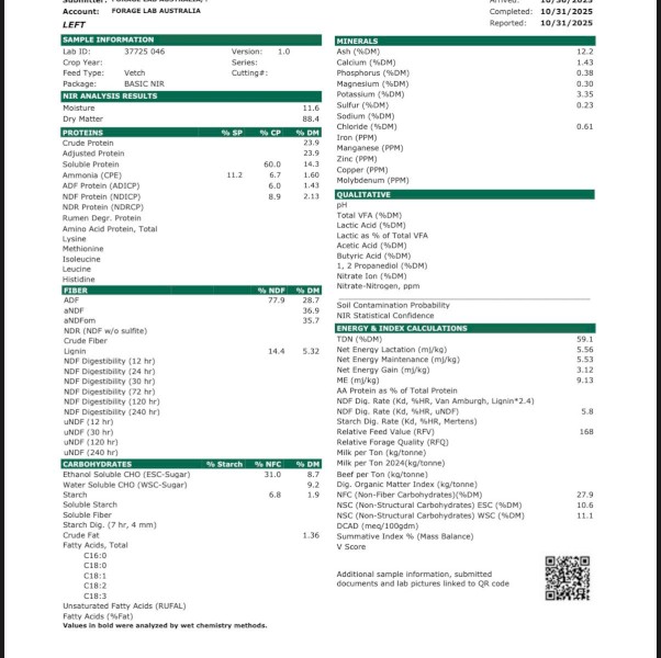 600mt Vetch Hay 8x4x3 Bales