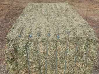 550mt Vetch Hay 660kg 8x4x3 Bales