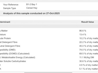 150mt Barley Hay 680-700kg Bales