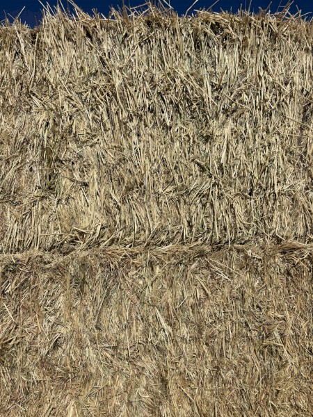 100mt Oaten Vetch Rye Hay 600kg 8x4x3 Bales