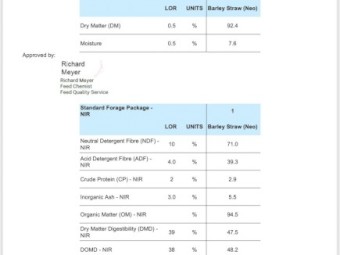 200mt Barley Straw 8x4x3 Bales