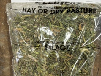 Vetch Hay 680kg 8x4x3 Bales