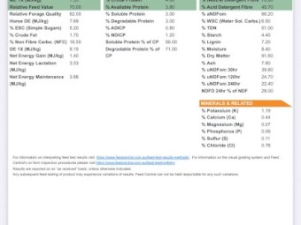 200mt Barley Straw 500kg 8x4x3 Bales