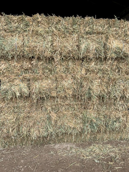  Oaten hay small squares 