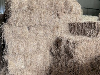 400 x Meadow Hay Small Square Bales