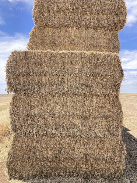 80mt Wheaten Hay 650kg 8x4x3 Bales