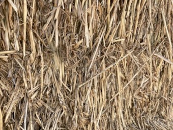 80mt Wheaten Hay 650kg 8x4x3 Bales