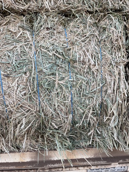 Hay and Straw