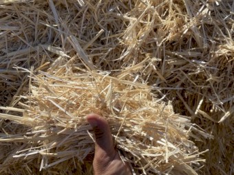 93mt Wheaten Straw 8x4x3 Bales