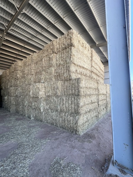 335mt Wheaten Hay 670kg 8x4x3 Bales