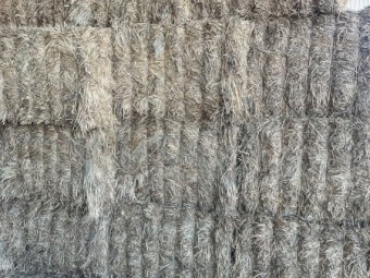 335mt Wheaten Hay 670kg 8x4x3 Bales