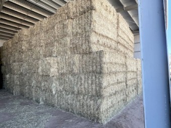 335mt Wheaten Hay 670kg 8x4x3 Bales