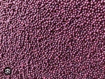 Canola 44Y94 Gen 2 Seed