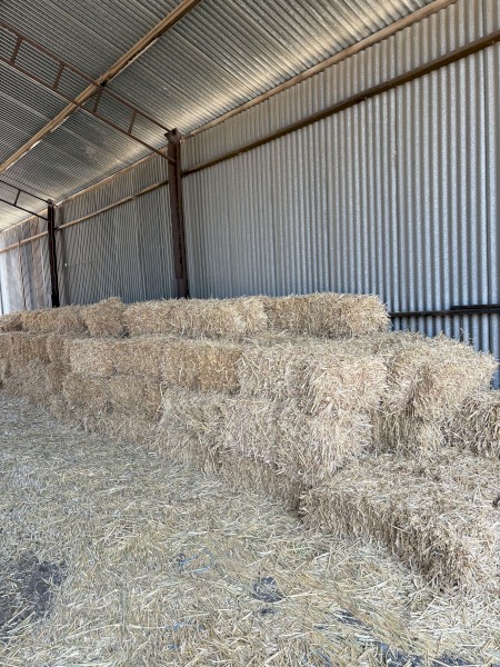 Oaten Small Square Bales