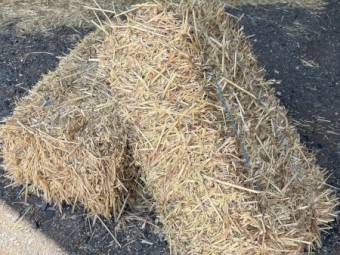 Oaten Small Square Bales