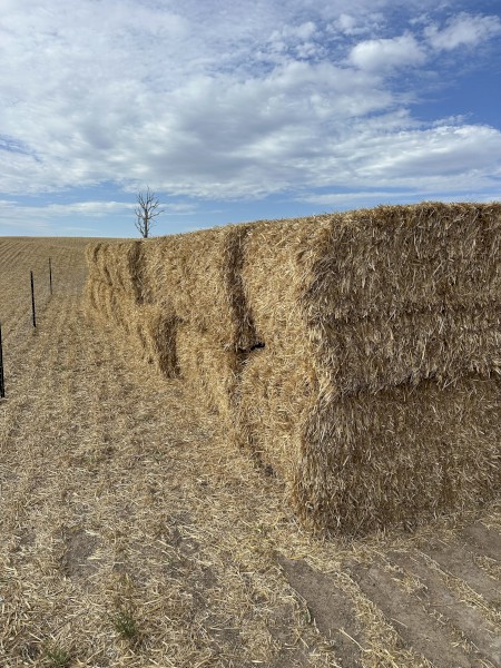 50mt Oaten Straw 500kg 8x4x3 Bales