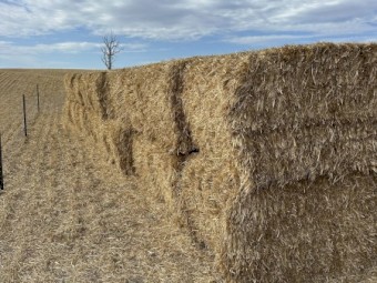 50mt Oaten Straw 500kg 8x4x3 Bales