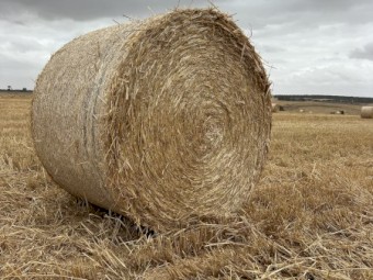 Oaten Straw Rolls