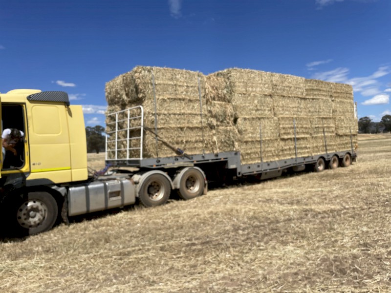 100mt Oaten Hay 500kg 8x4x3 Bales