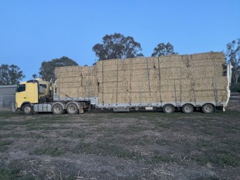100mt Oaten Hay 500kg 8x4x3 Bales